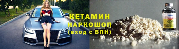 стафф Гусев