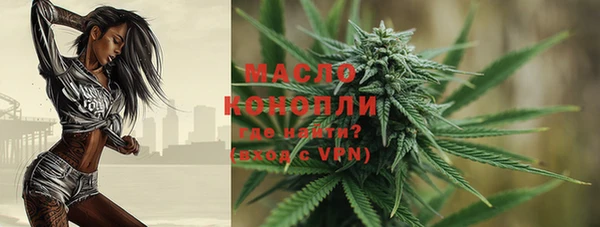 стафф Гусев