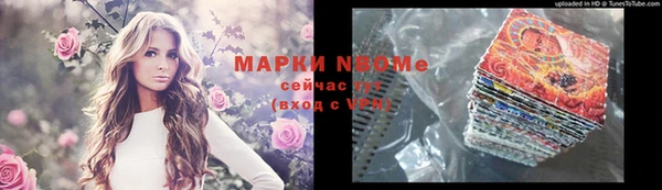 стафф Гусев