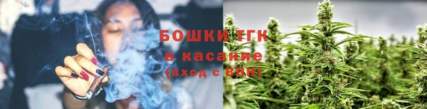 стафф Гусев