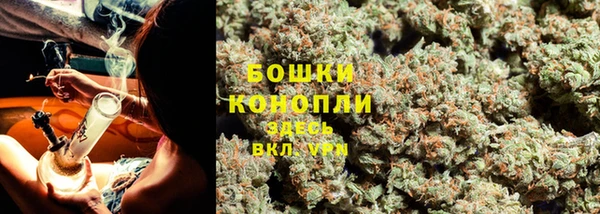 стафф Гусев