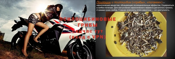 ALPHA PVP Вяземский