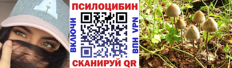 Купить где Камбарка Галлюциногенные грибы MAGIC MUSHROOMS